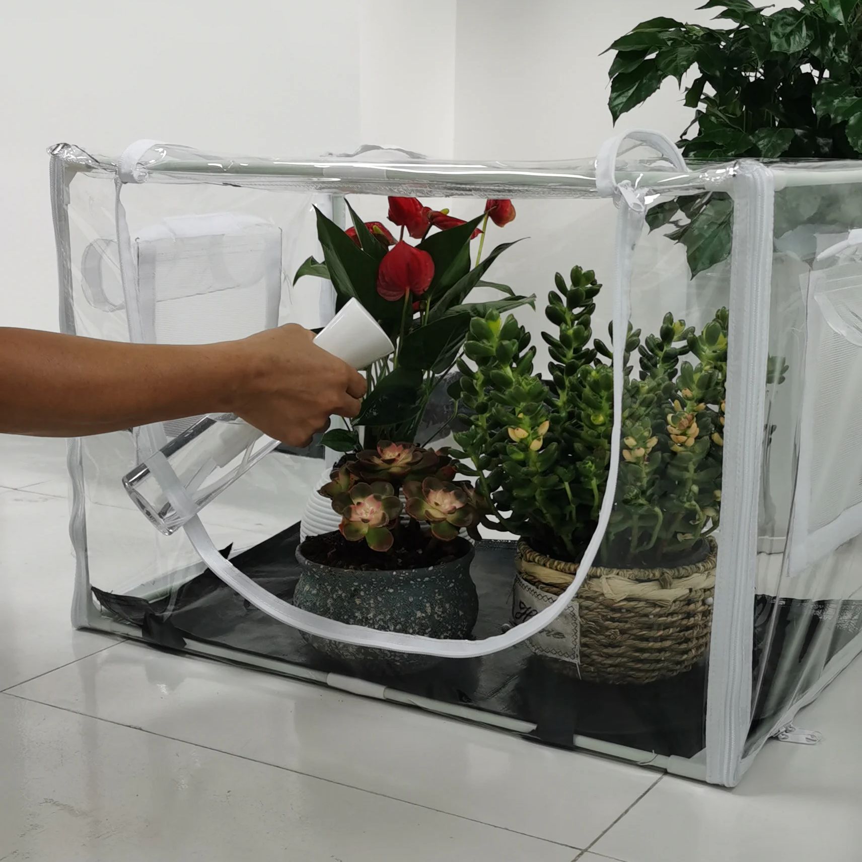 Compact Indoor/Outdoor Greenho - Grow Tent 4X4 评论和价格