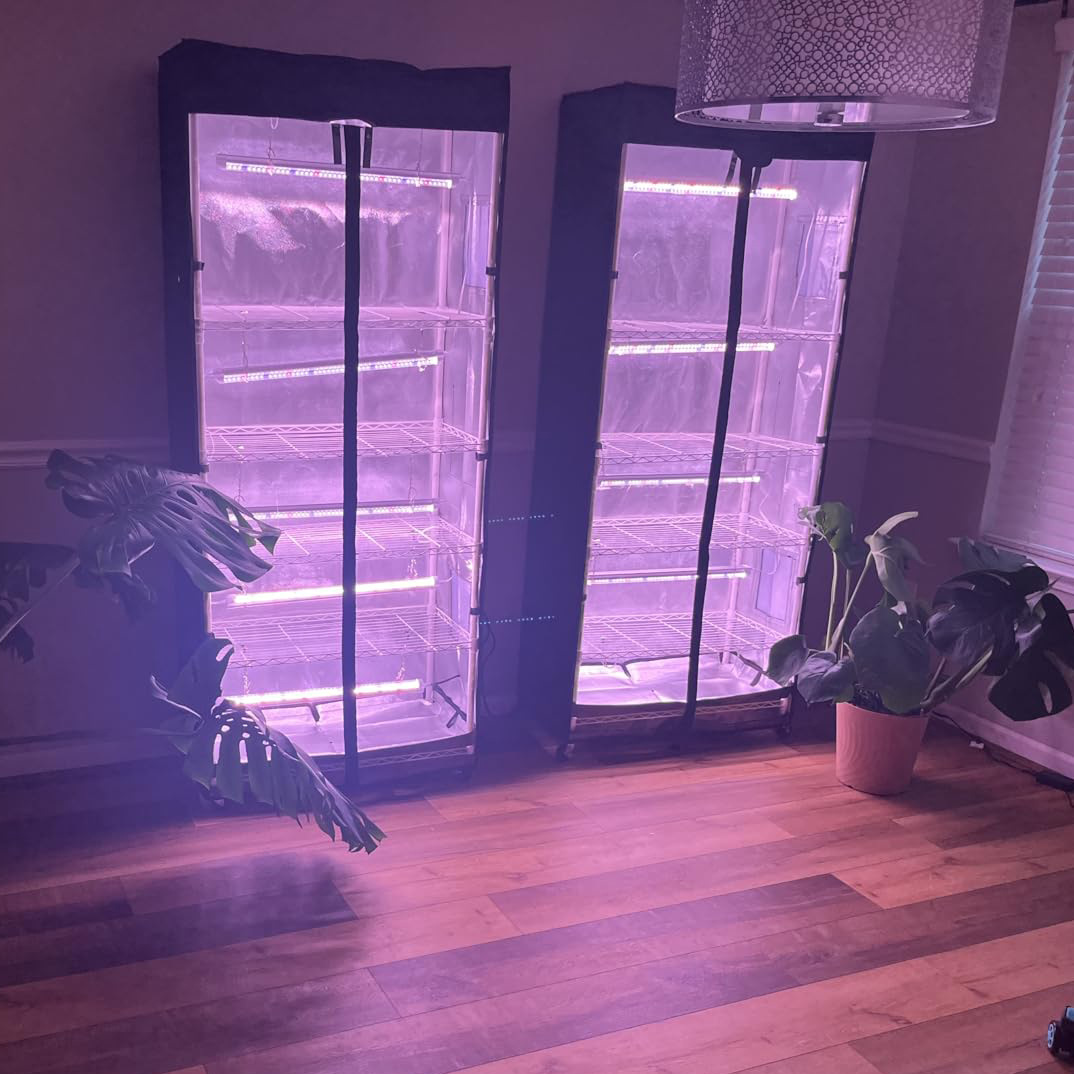 Movable vegetable and mushroom - Grow Tent 4X4 评论和价格